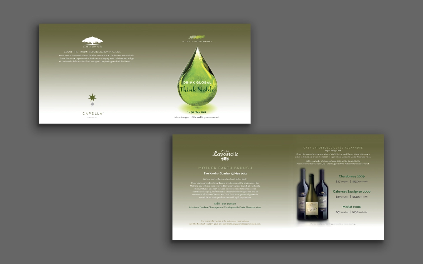 MHD_Green_Project 2